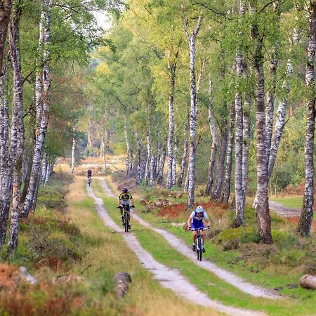 Chalet Op De Veluwe # Linde Putten Eksteriør billede