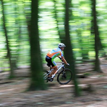 Chalet Op De Veluwe # Linde Putten Eksteriør billede