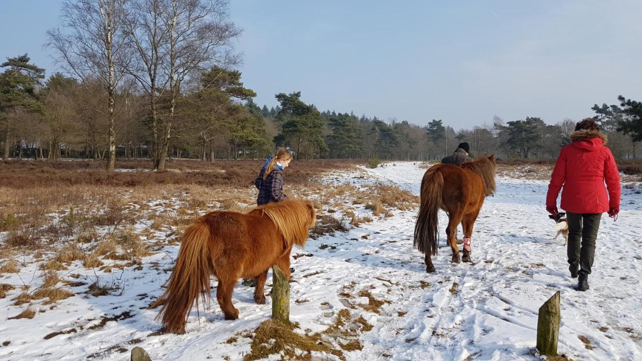 Chalet Op De Veluwe # Linde Putten Eksteriør billede