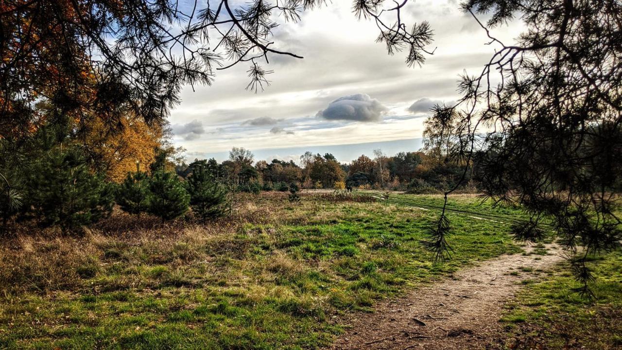 Chalet Op De Veluwe # Linde Putten Eksteriør billede