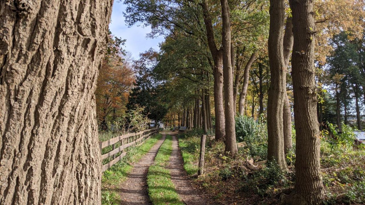 Chalet Op De Veluwe # Linde Putten Eksteriør billede
