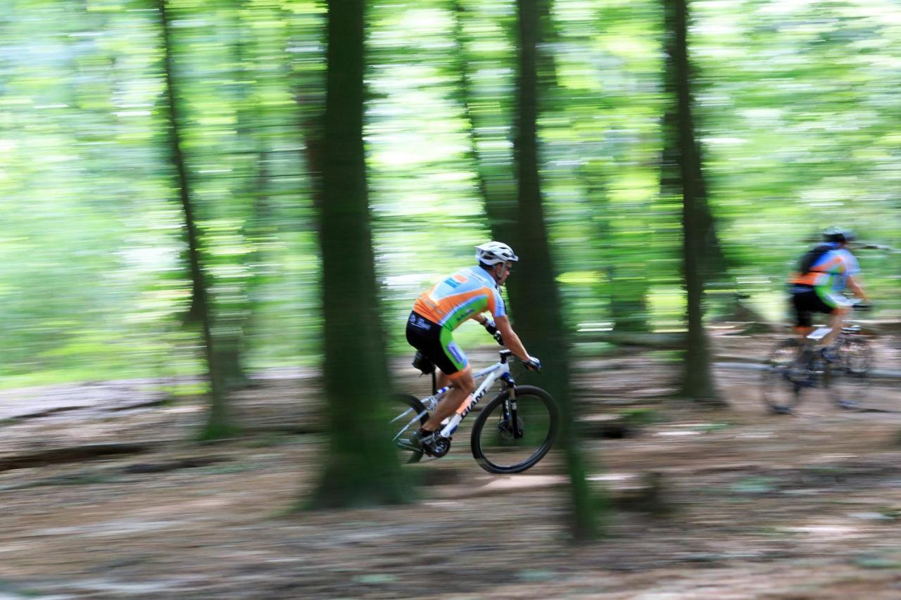 Chalet Op De Veluwe # Linde Putten Eksteriør billede