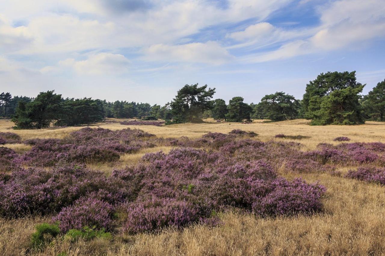Chalet Op De Veluwe # Linde Putten Eksteriør billede